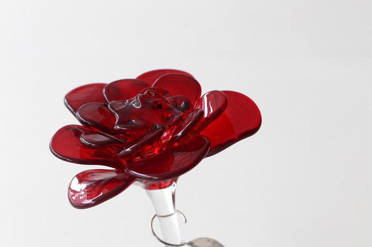 Večernjakova ruža 2017 nagrađuje