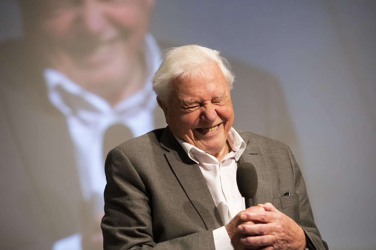Sir David Attenborough 100th birthday