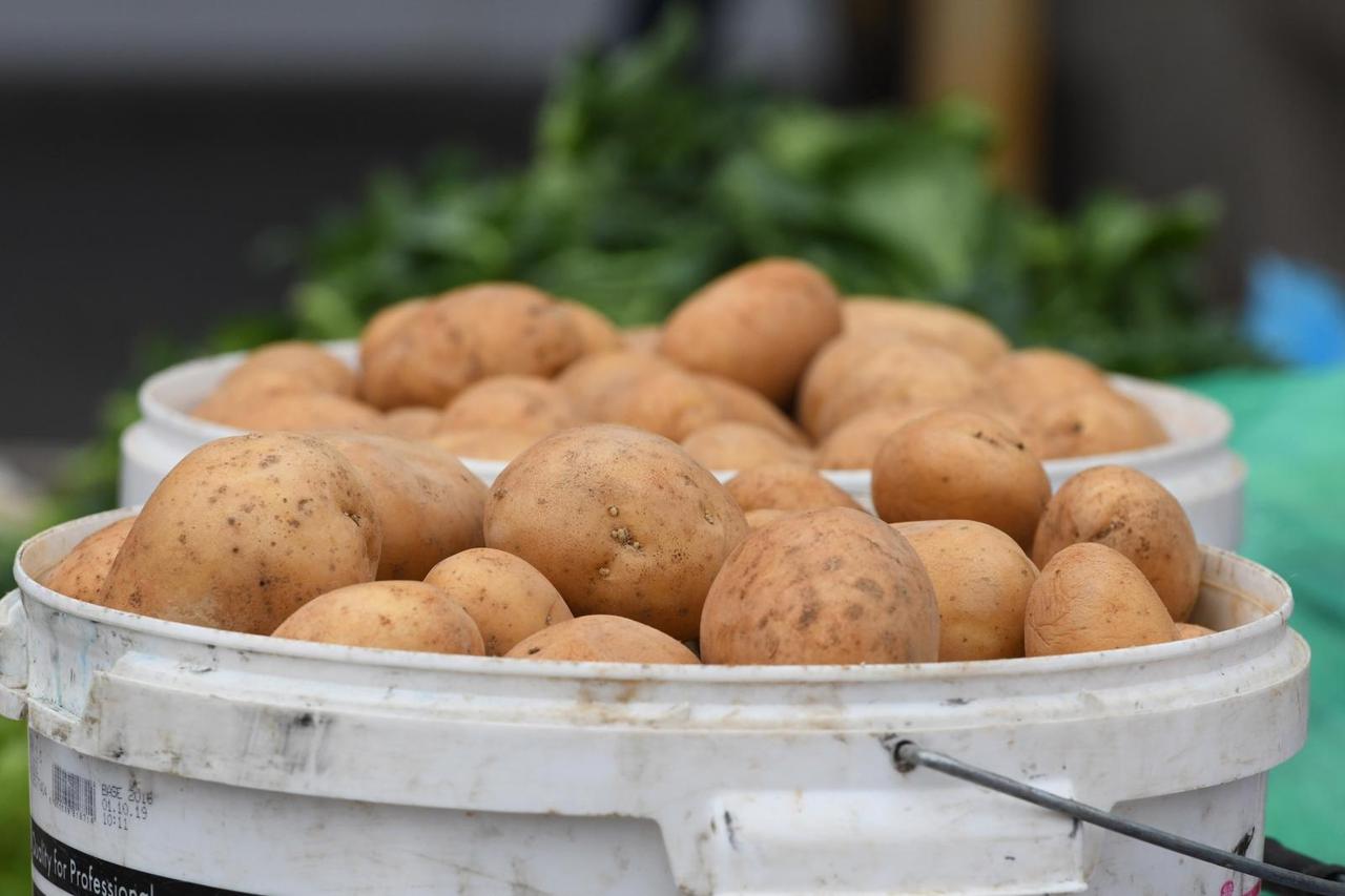 Niske tempreture ispraznile šibensku tržnicu