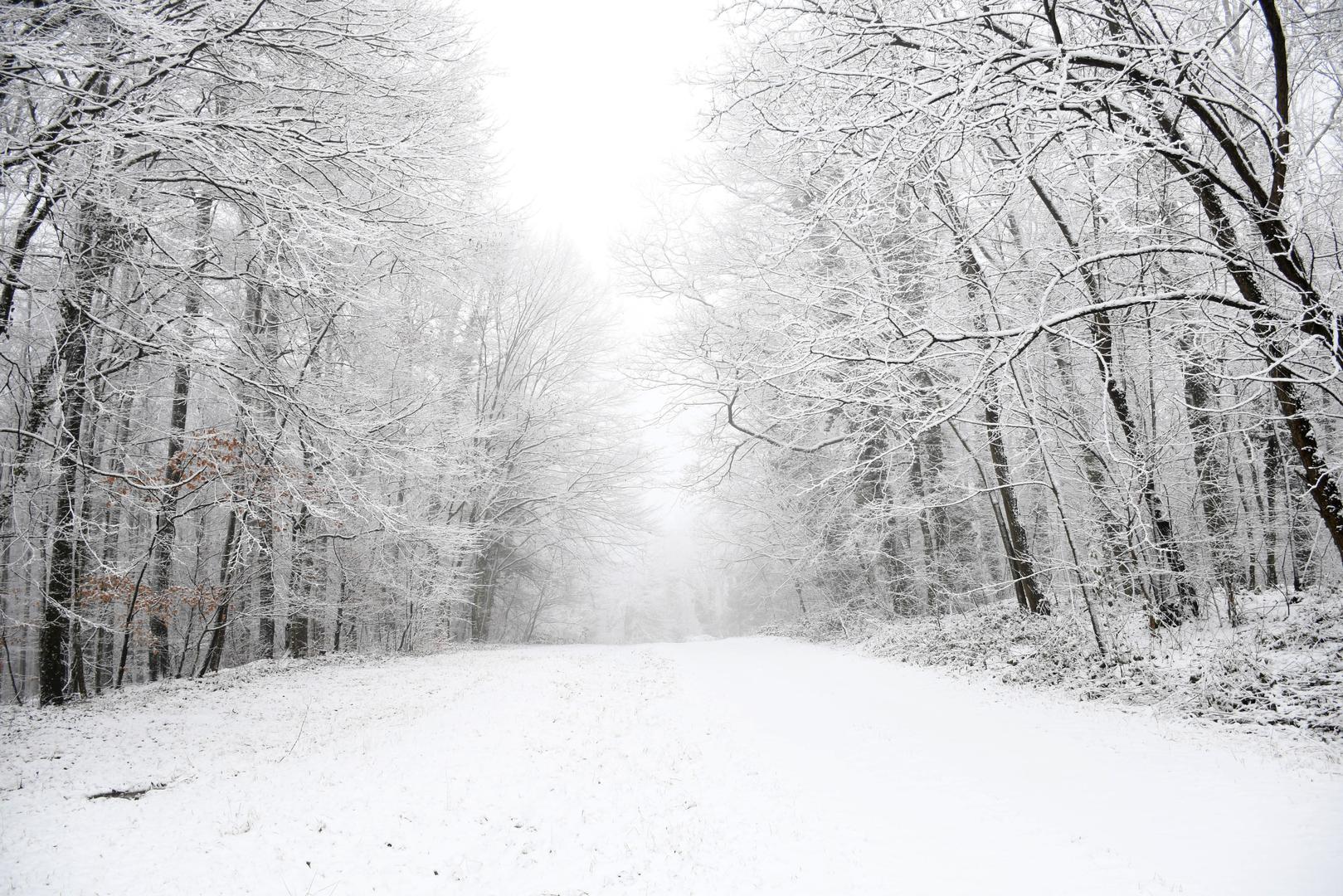 Sinoć je, podsjetimo, zasnježilo u brojnim dijelovima Hrvatske, među kojima je i Zagreb.