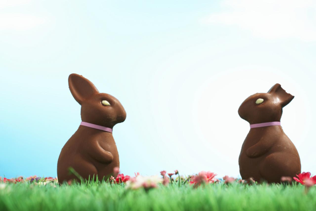 Čokoladni zečevi