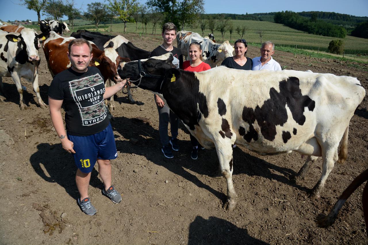 Sv. Petar Čvrstec: OPG Mirko Bačani bavi se govedarstvom, mljekarstvom i ratarstvom