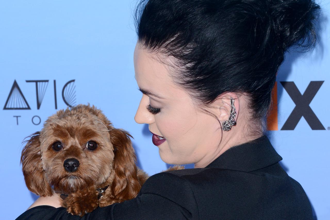 Katy Perry: The Prismatic World Tour - By Lionel Hahn