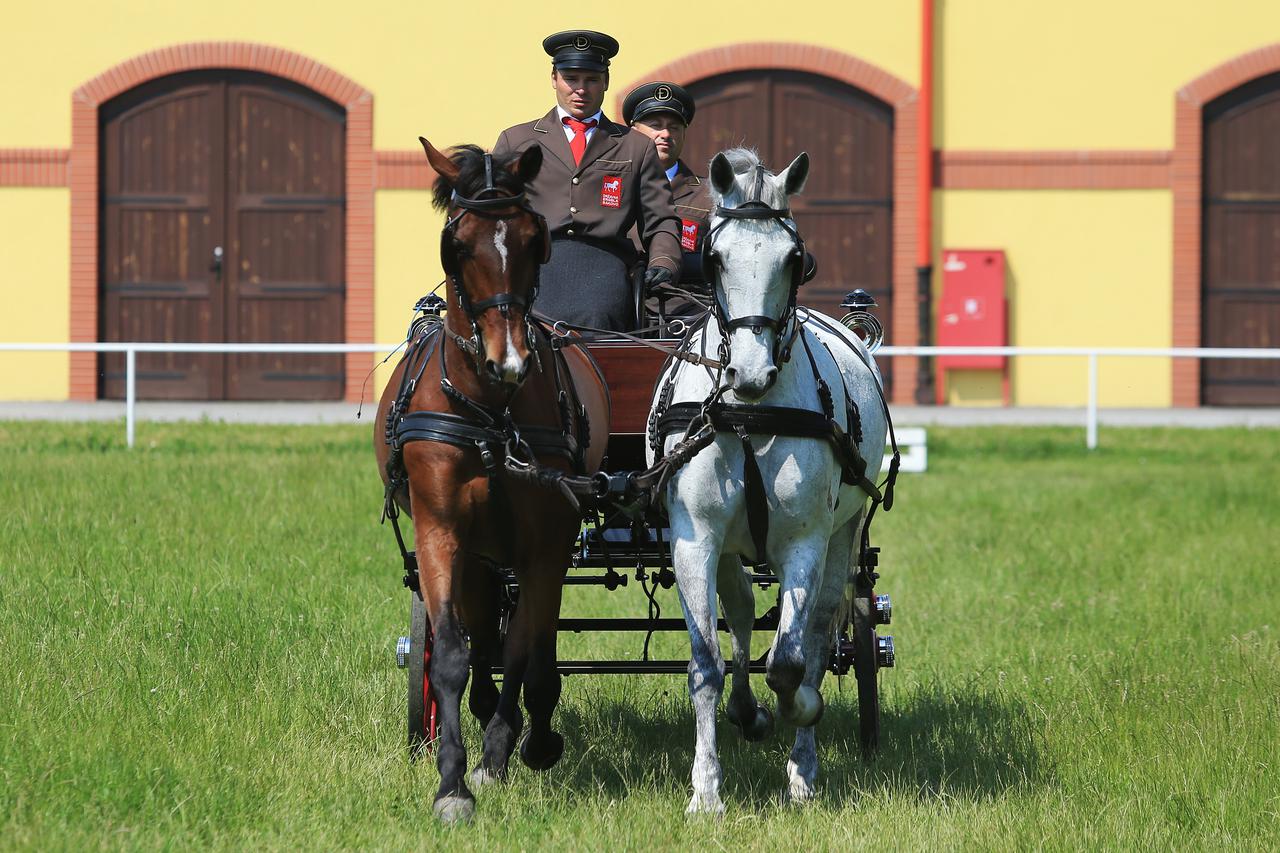 Državna ergela Đakovo