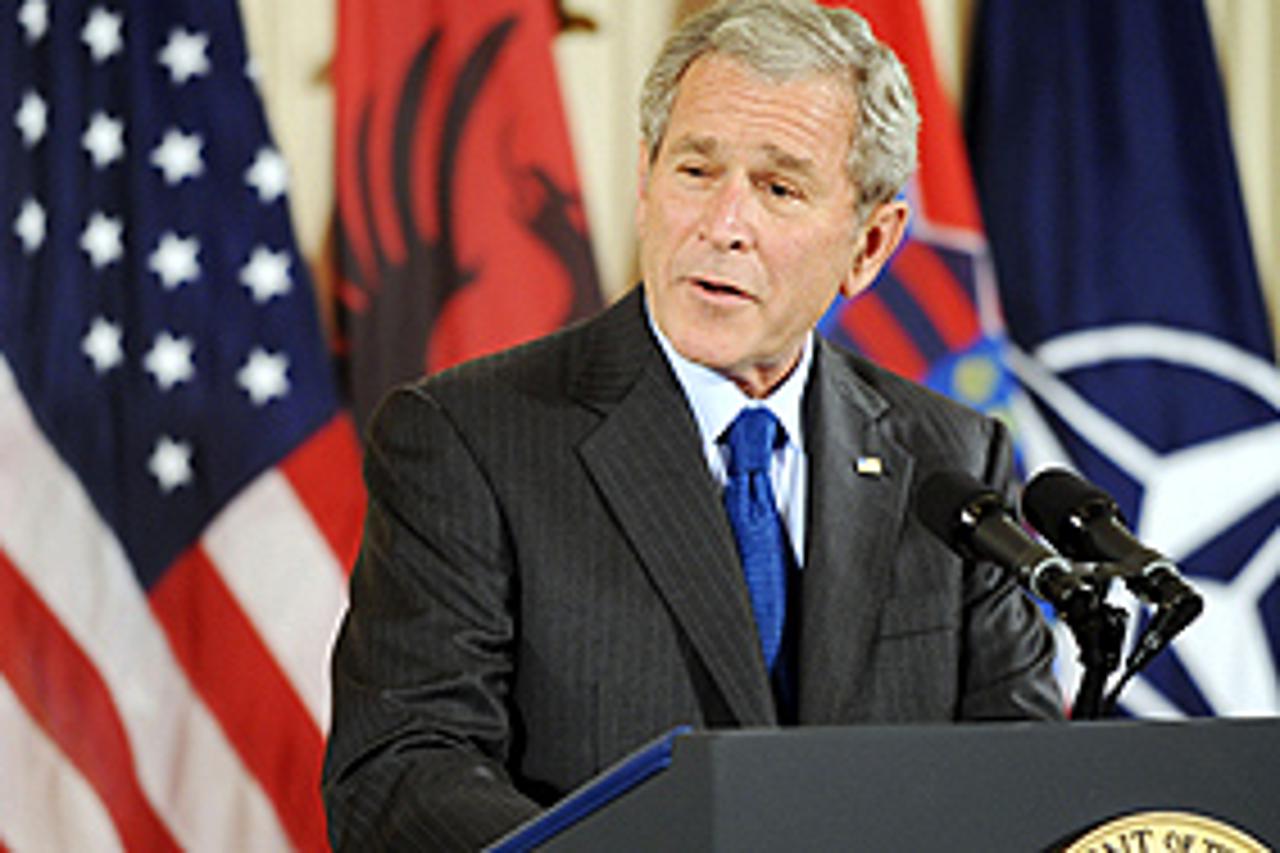 bush-sv.jpg