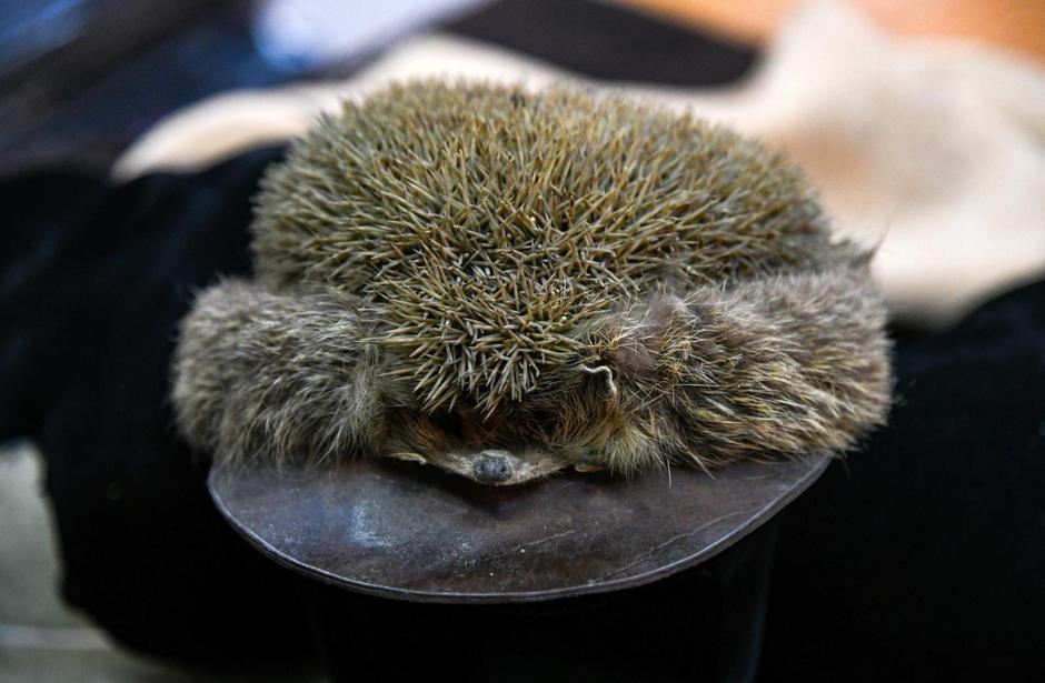 Izložba u Etnografskom muzeju