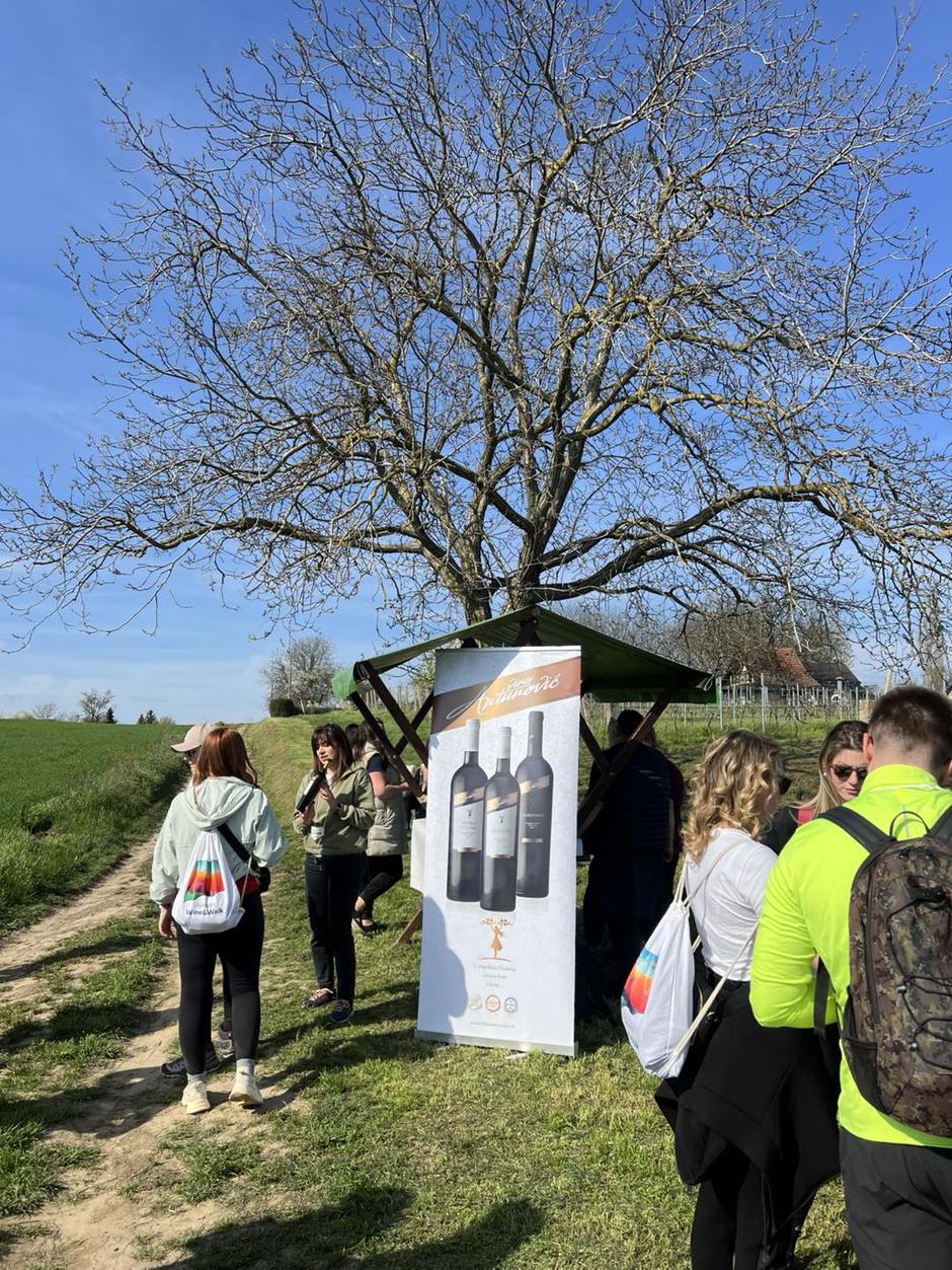 Vina Erdut Wine & Walk