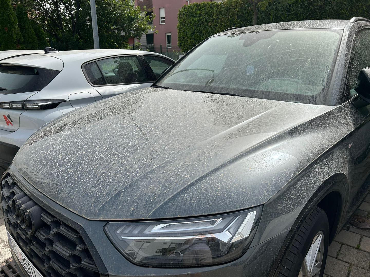 Saharski pijesak doprinosi i tome da zrak je zamućen i ima žućkasti odsjaj. 

