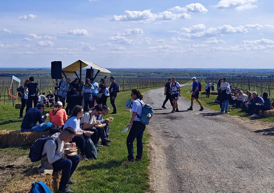 Vina Erdut Wine & Walk