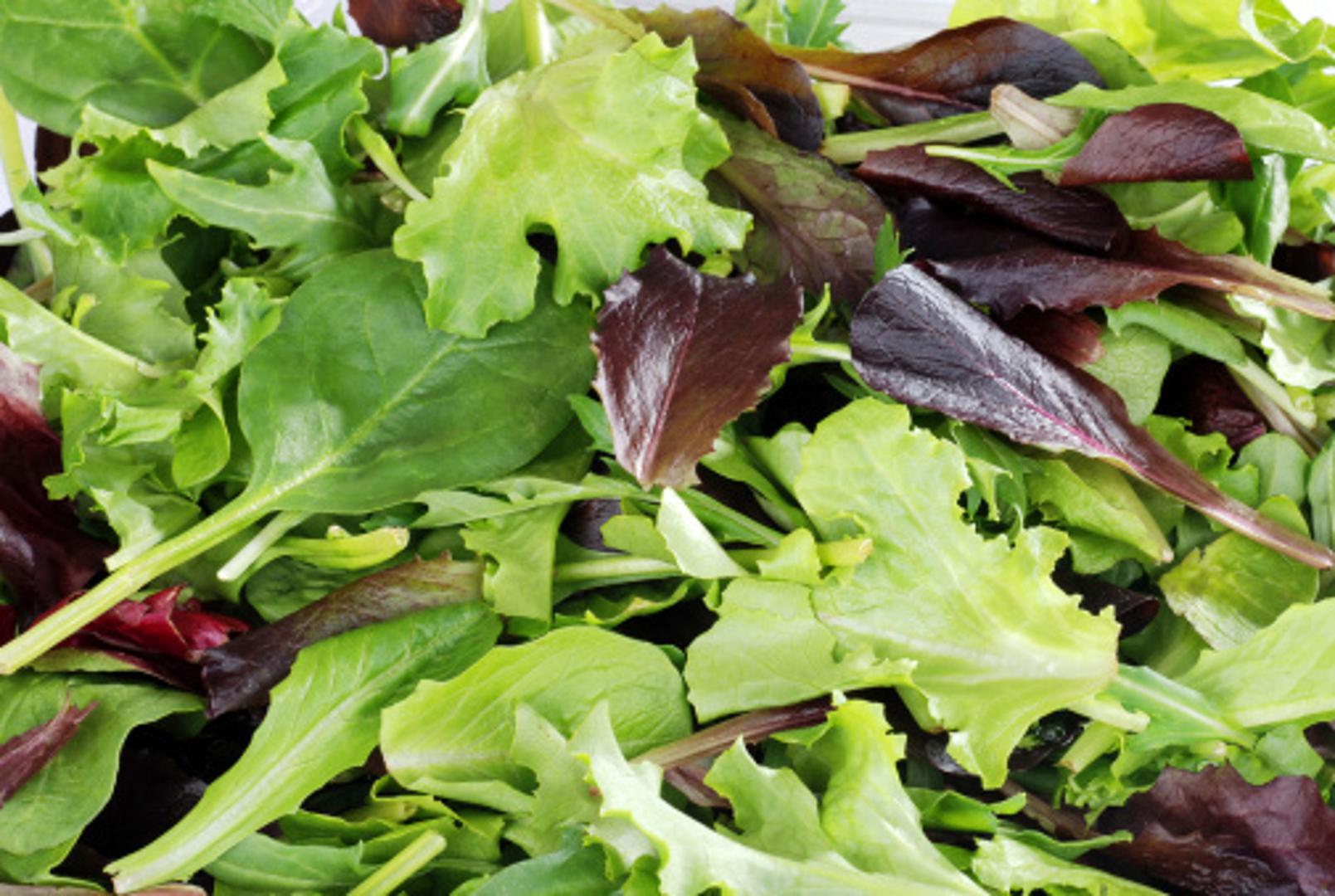Zelena salata vrlo lagano i vrlo brzo može propasti, ako se krivo spremi u hladnjak, ali zato je važno obratiti pozornost na sve.
