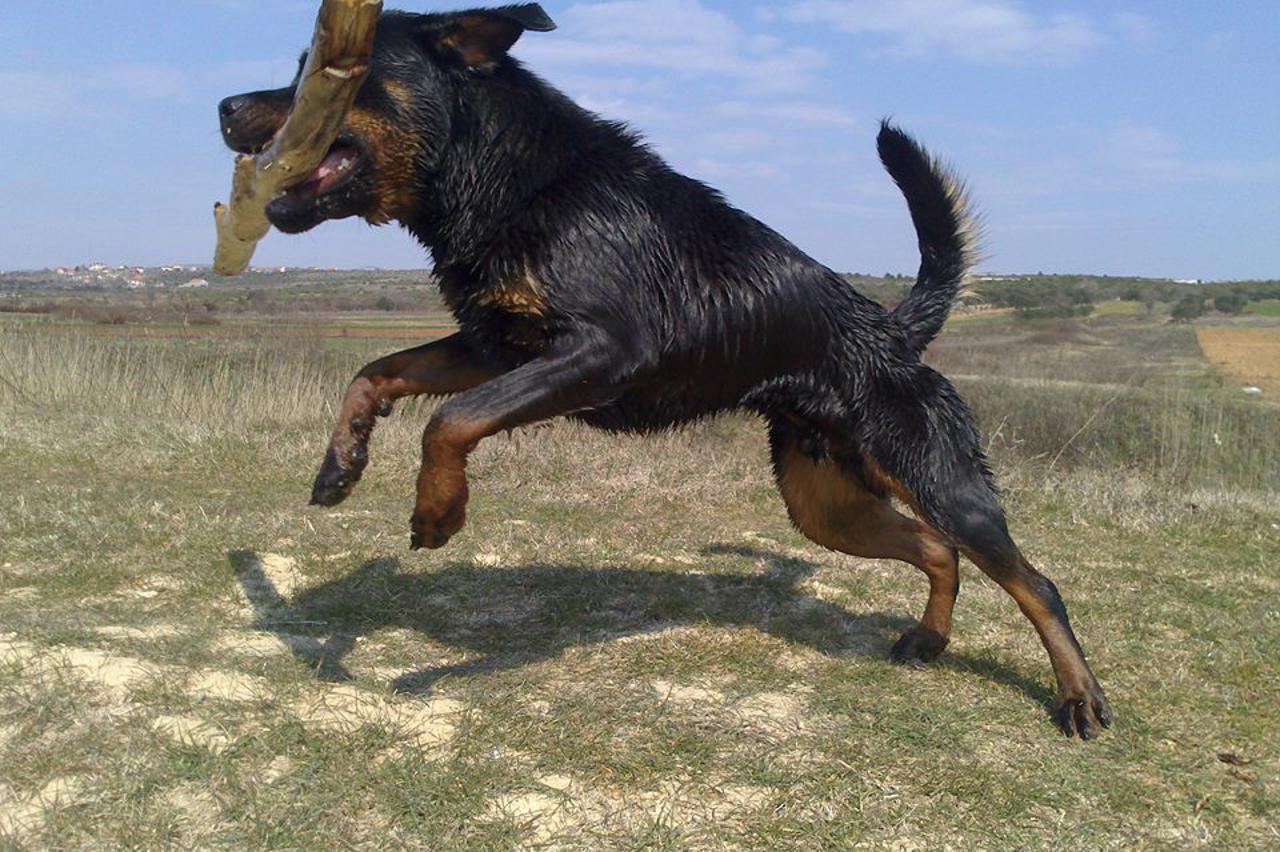 Zeus pad od Tina Šunjerge