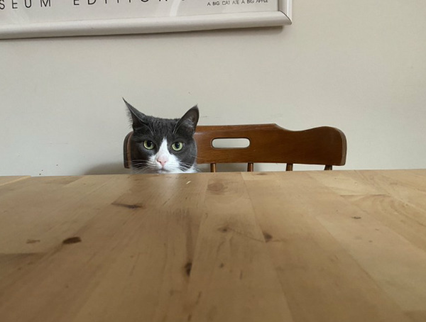 Muškarac je uz ovu fotografiju napisao da su kod kuće sastanci s menadžerom malo neobični...
