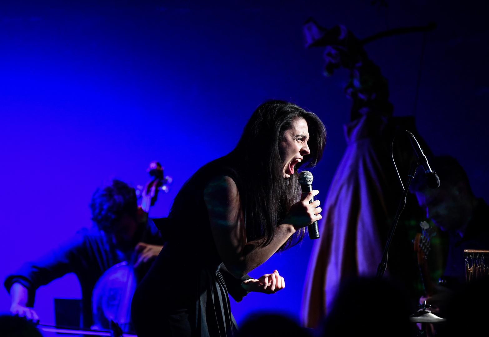 Koautor glazbe ove koncertne predstave je Vadim Erudaçi, redateljica i dramaturginja je Mia Melcher. Uz Neru Stipičević u ovoj koncertnoj predstavi sudjeluju 
Vadim Erudaçi na gitara, Tomislav Parmać za klavirom, Hrvoje Rupčić / Borna Šercar na udaraljkama te Matej Milošev na čelu.