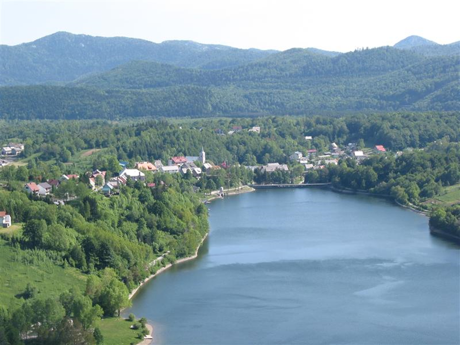 Posadi jelu, spasi pčelu – inicijativa pčelara u Općini Fužine
