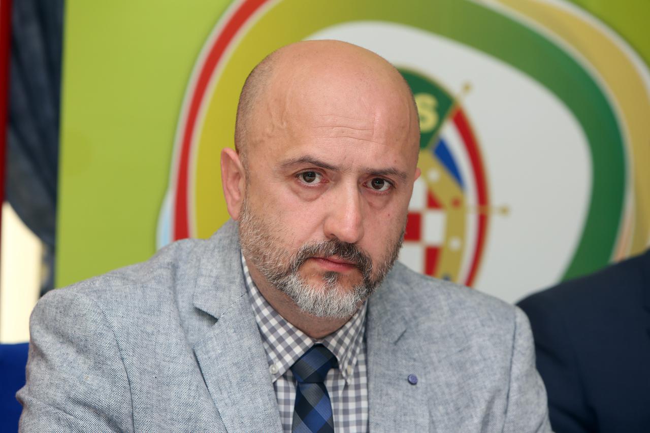 Damir Mateljan