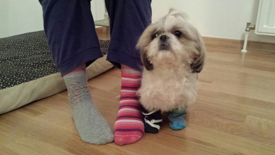 Svjetski dan sindroma Down