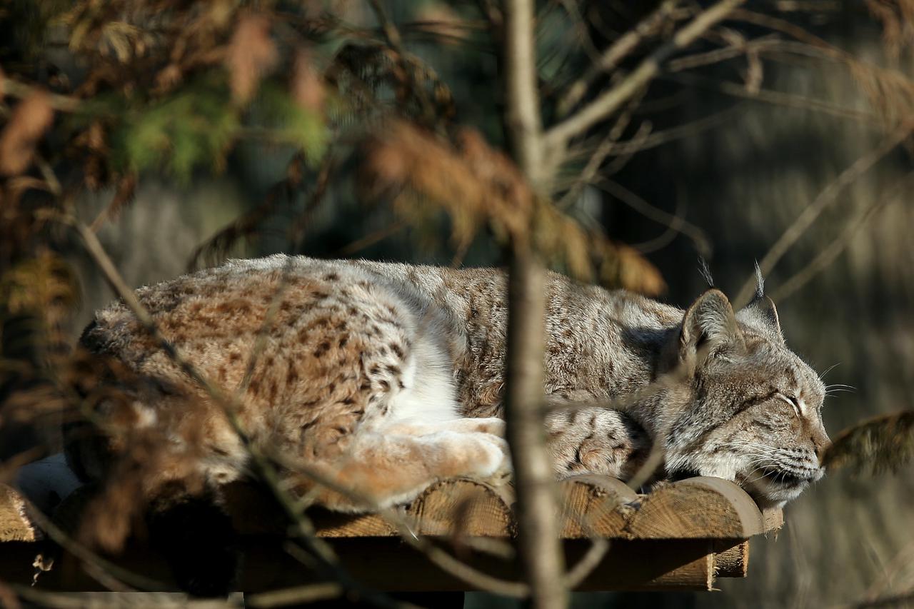 Životinje u zagreba?kom Zoološkom vrtu
