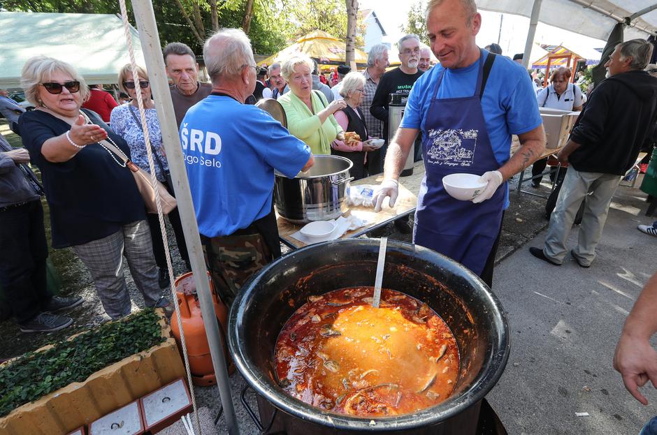 Stara jela z Dugog Sela