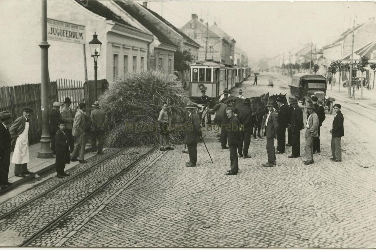 Maksimirska cesta