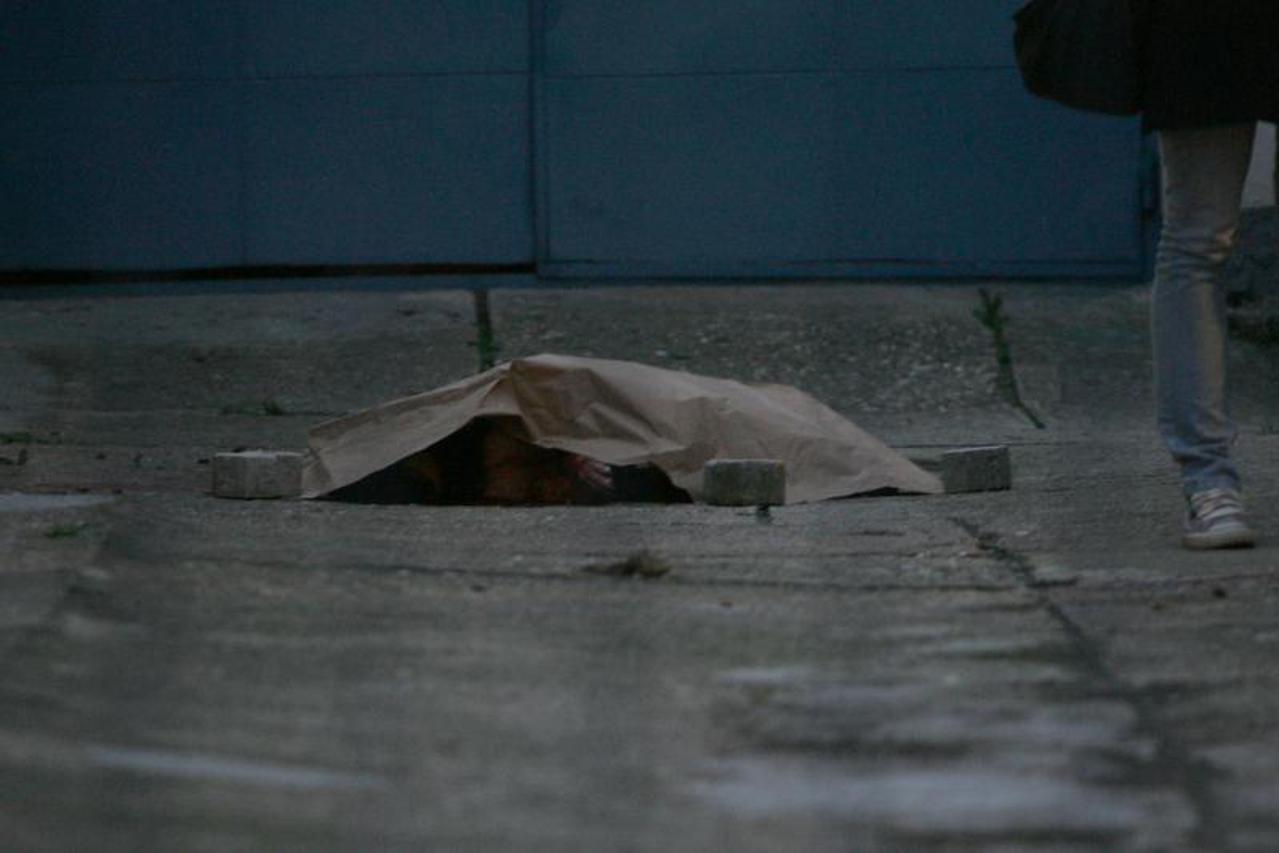 Petarda raznijela psa (1)