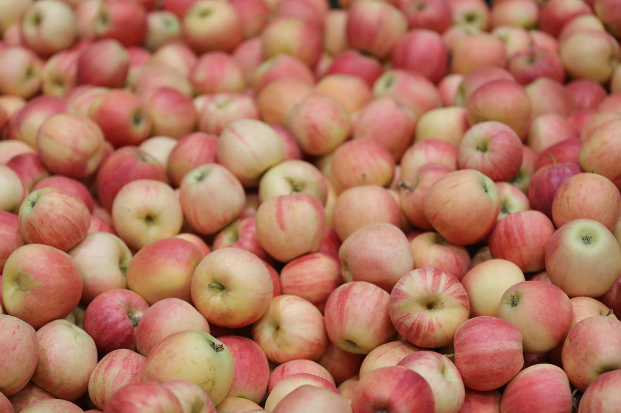 Osijek: Posjet županice Nataše Tramišak Regionalnom distribucijskom centru Osječko-baranjske županije