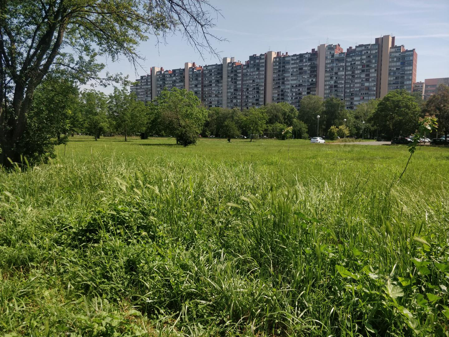 A trava nije pokošena ni kod Mamutice