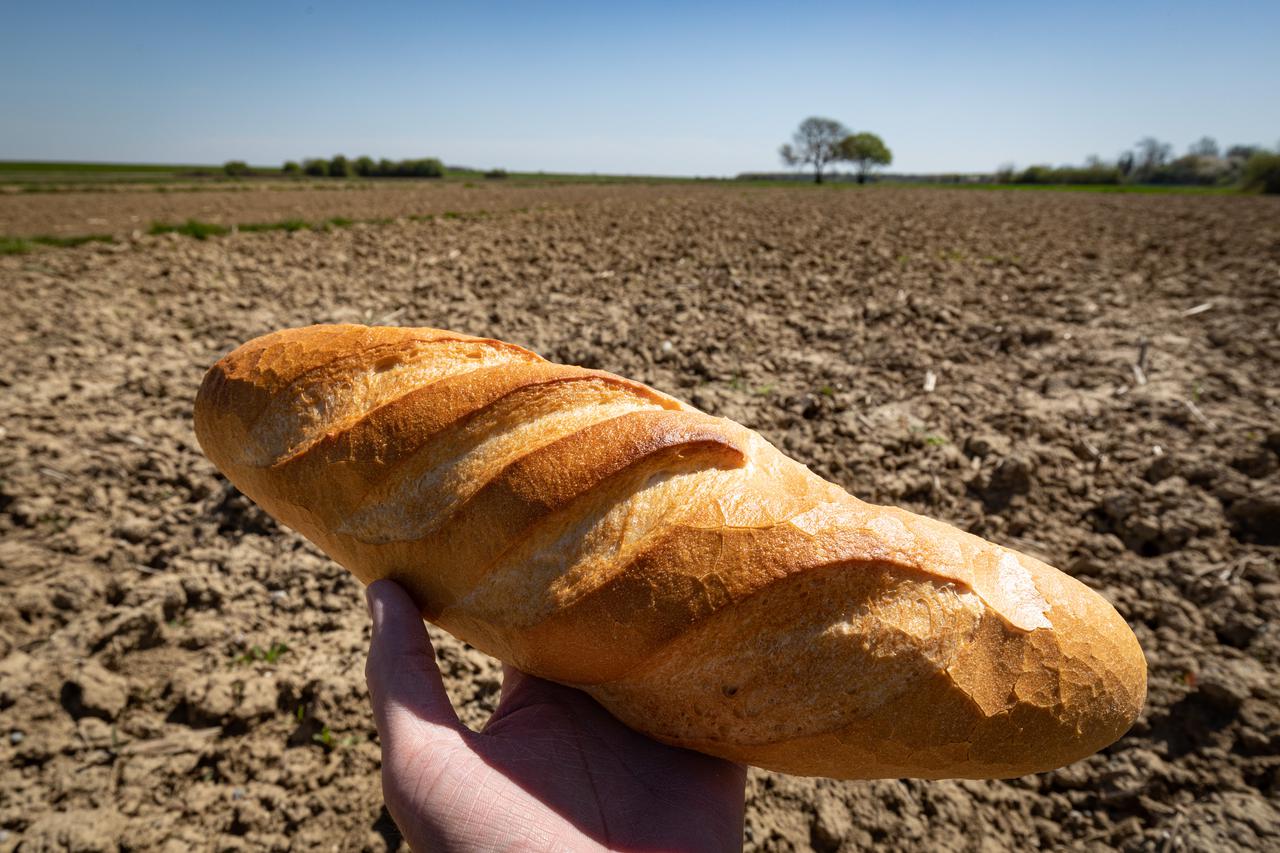 U Hrvatskoj hrana u samo mjesec dana poskupila za 10 posto
