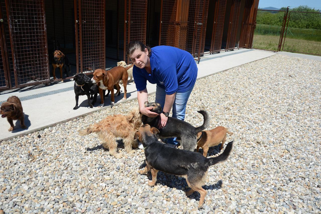 Sklonište u Zagorju