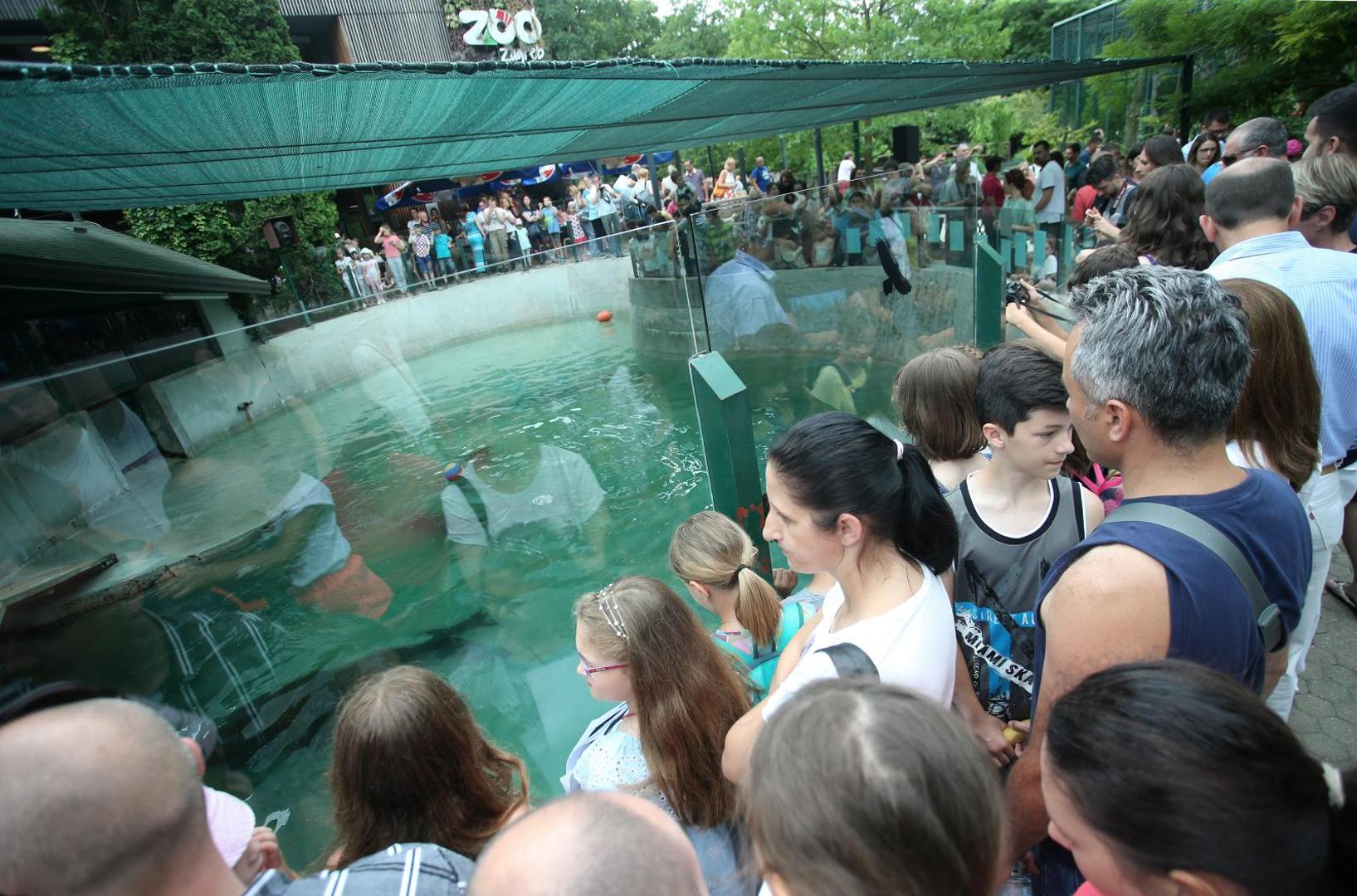 Sve tri lavice dobile su tortu od riba