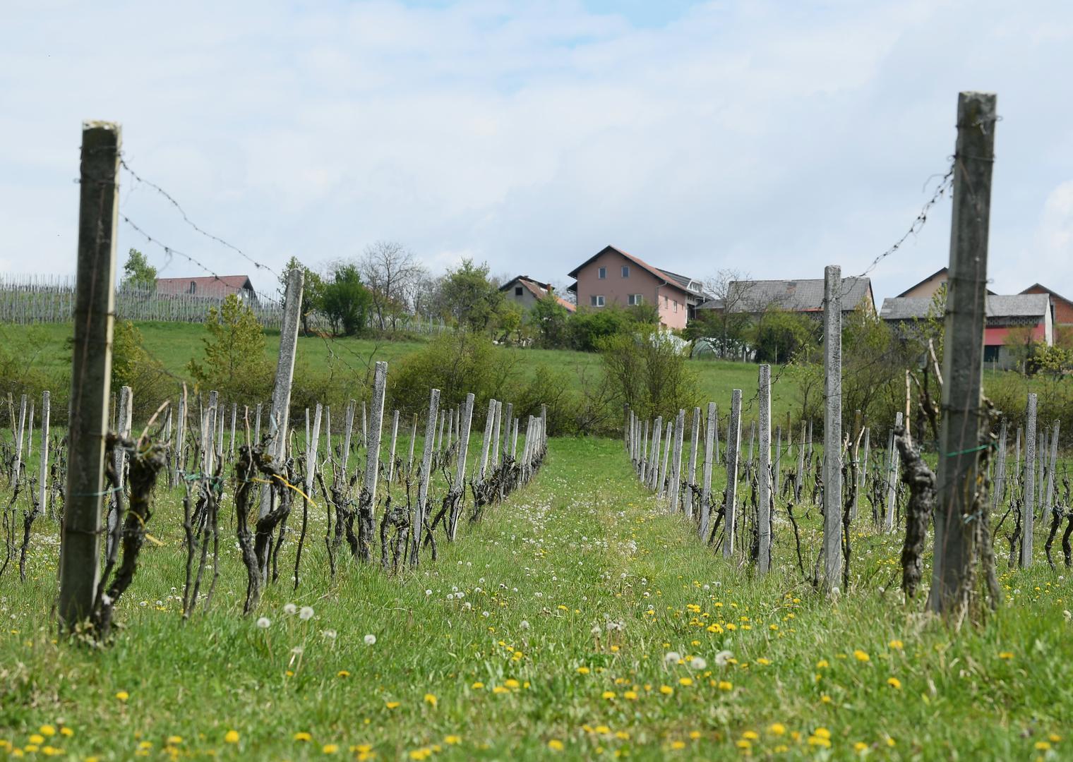 20.04.2021., Jastrebarsko - Turisticka patrola. Photo: Marko Lukunic/PIXSELL