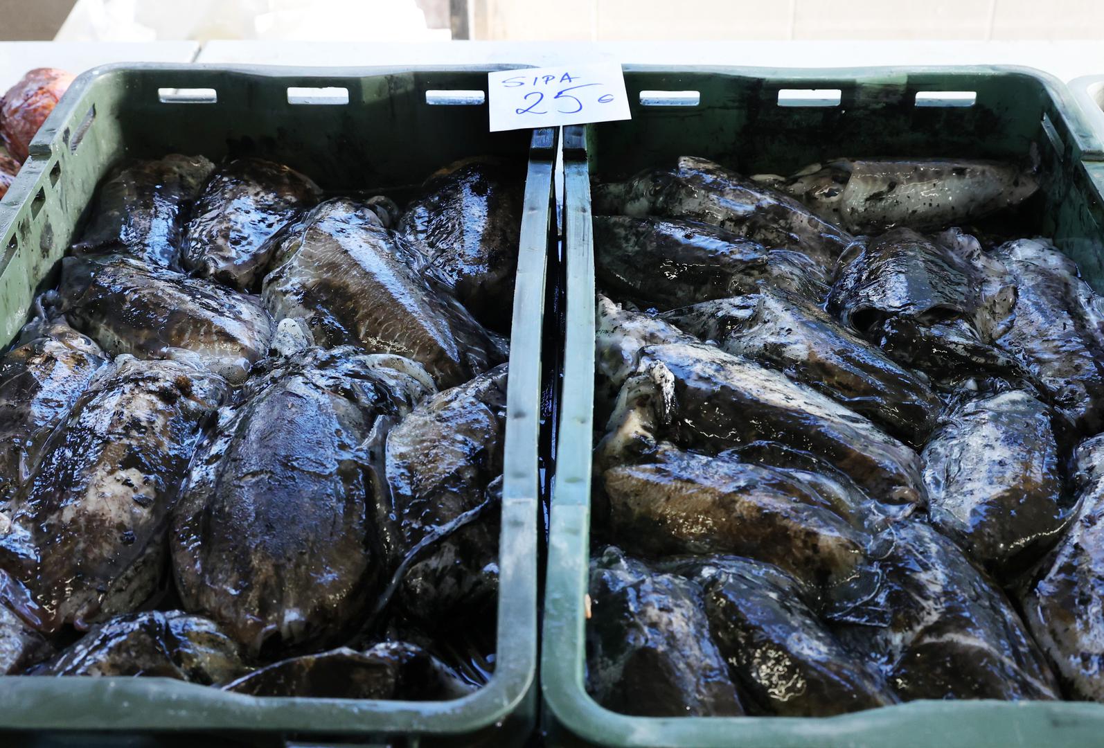  Velika škarpina, koja je pravi delicija, košta 40 eura, a hobotnica je dostupna po cijeni od 20 eura.