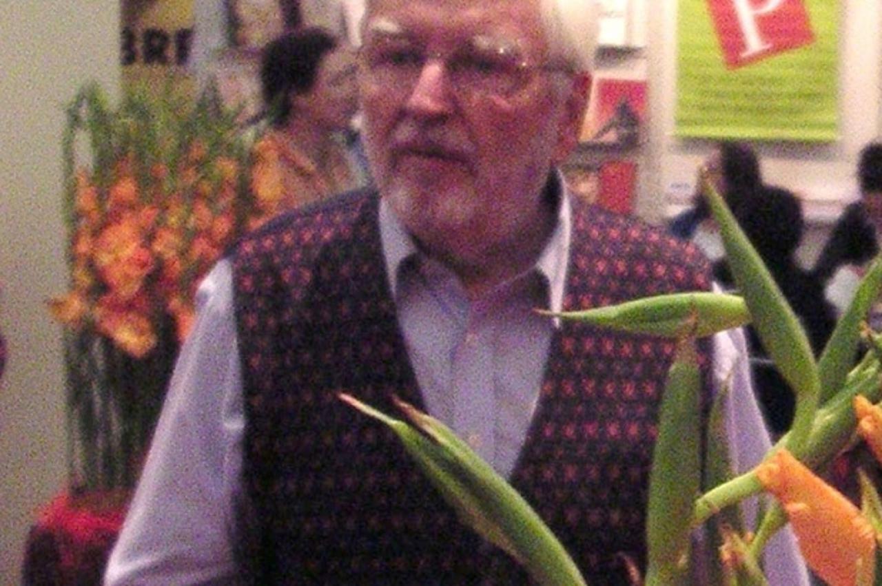 Bora Ćosić