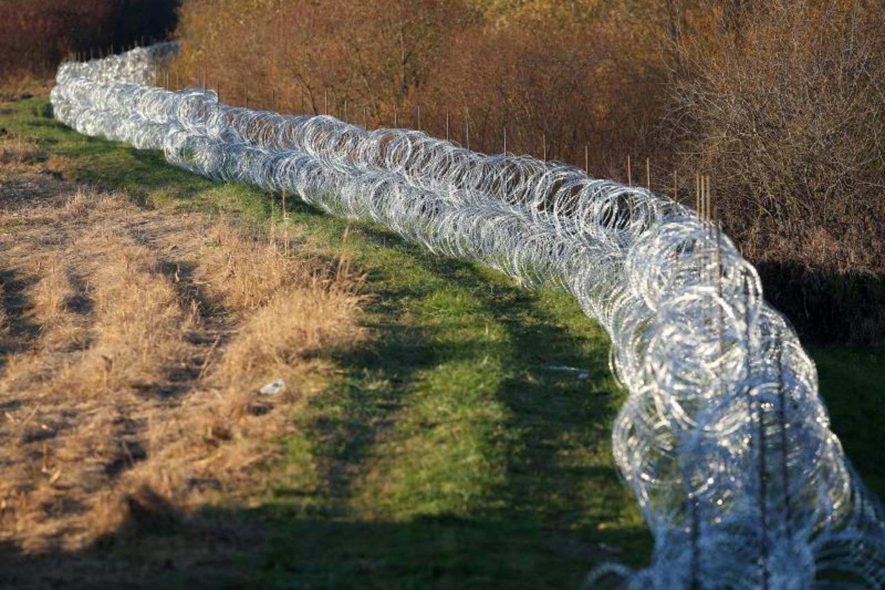 Bodljikava žica kod Harmice
