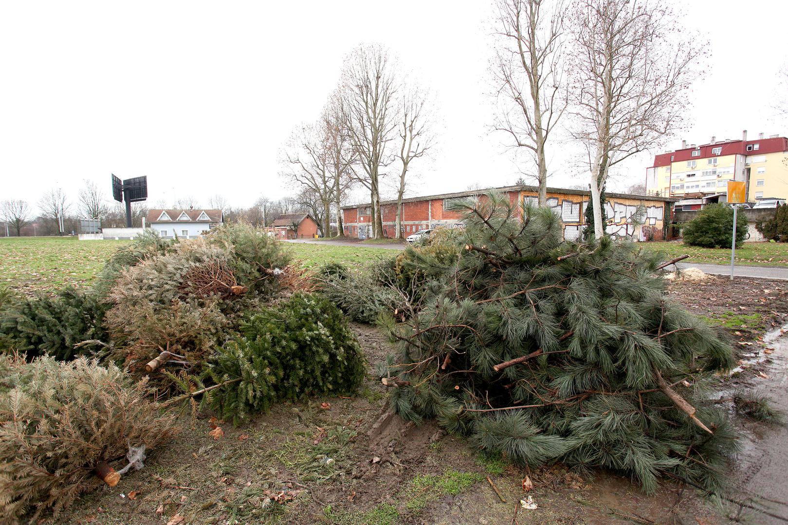 Holdingova podružnica Zrinjevac od 7. siječnja 2026. godine obavlja besplatno prikupljanje i odvozom prirodnih božićnih drvaca na području grada Zagreba, no ova "ekipa", izgleda, na red još nije došla. 
