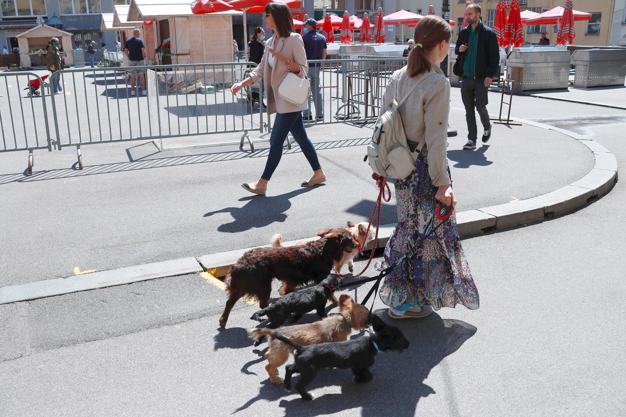 Zagreb: Obilazak centra grada u pratnji pet psića nije joj nikakav problem
