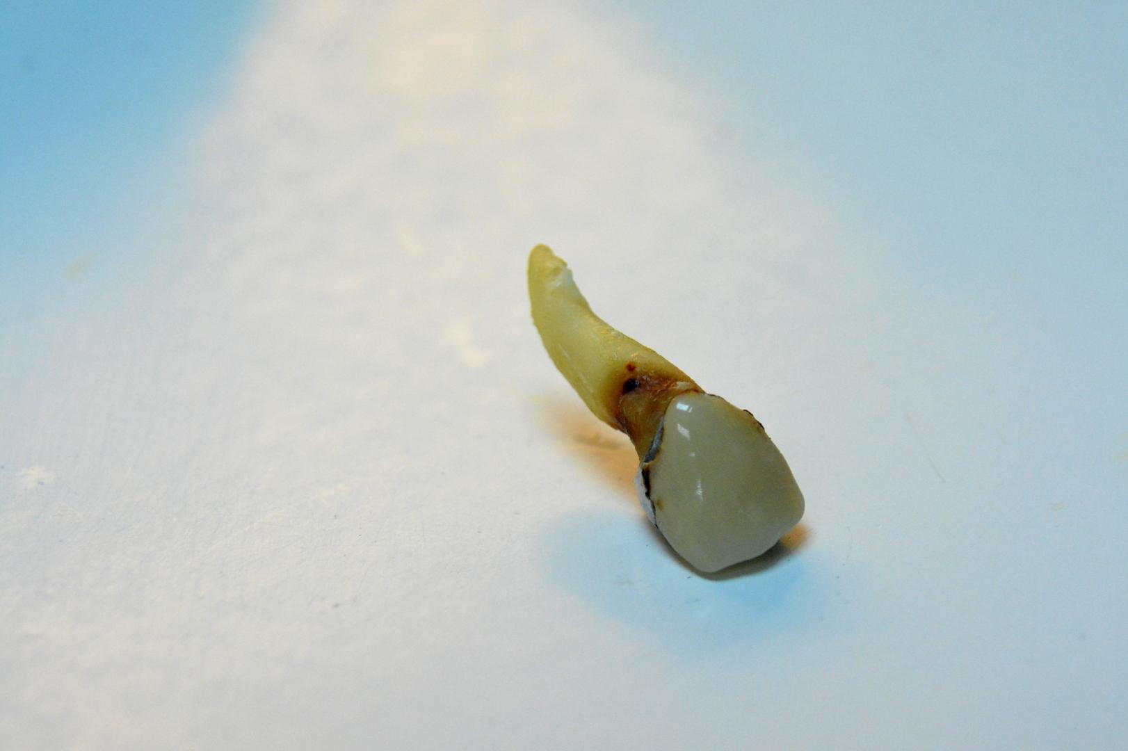 Istraživanje – Skupina istražitelja odlučila je testirati dokle je spreman ići američki poštanski servis. Slali su neobične pošiljke poput kutija punih mrtvih morskih riba i algi, balona s helijem, zuba... Rezultati su ih iznenadili budući da su u pošti bili iznimno susretljivi.