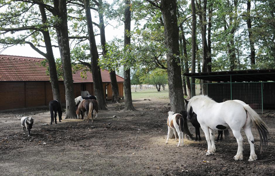 Bratina: Eko park Kraš nudi niz sadržaja usmjerenih na povezivanje s prirodom