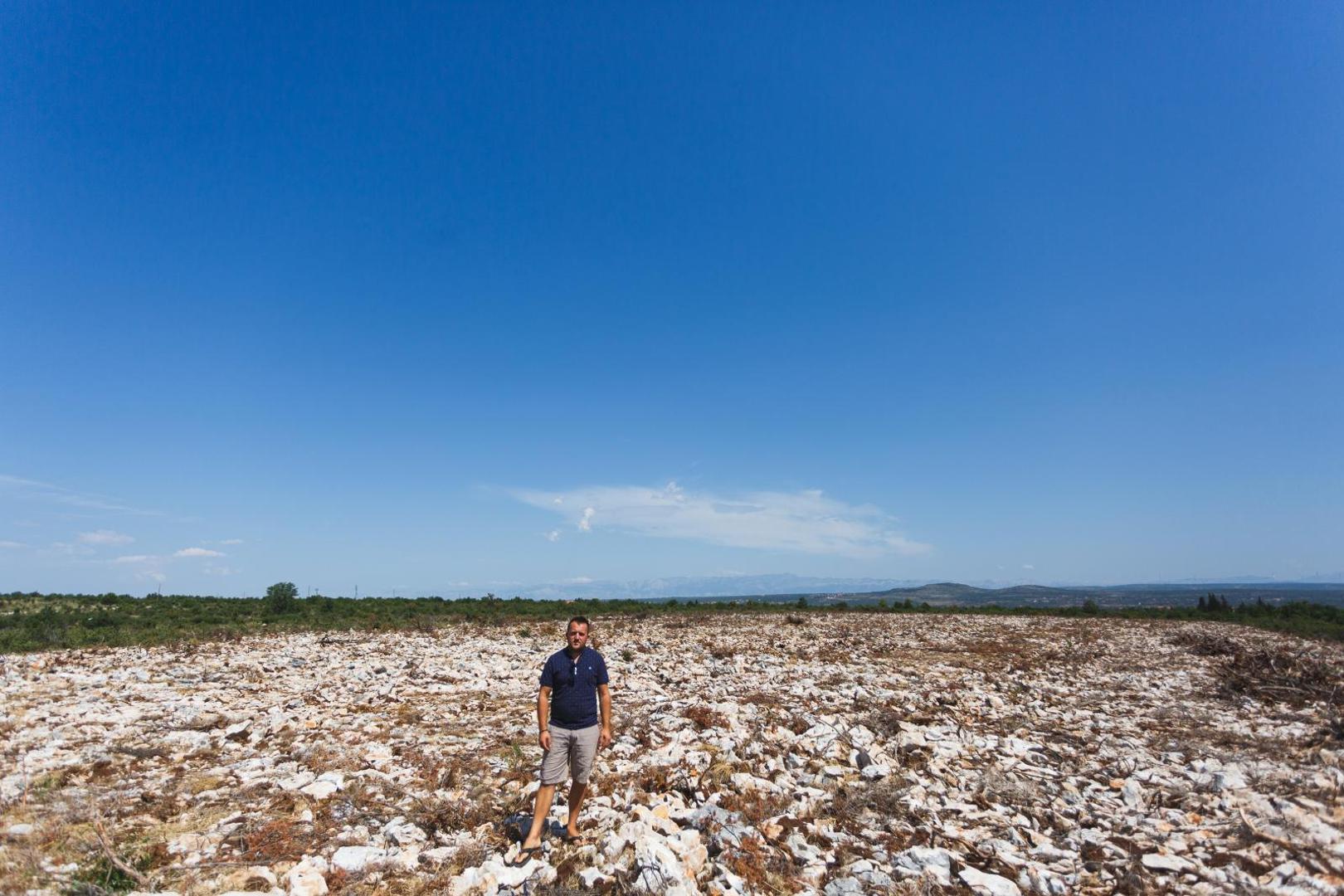 07.08.2020., Tinj - OPG Ante Peraic.   Photo: Marko Dimic/PIXSELL
