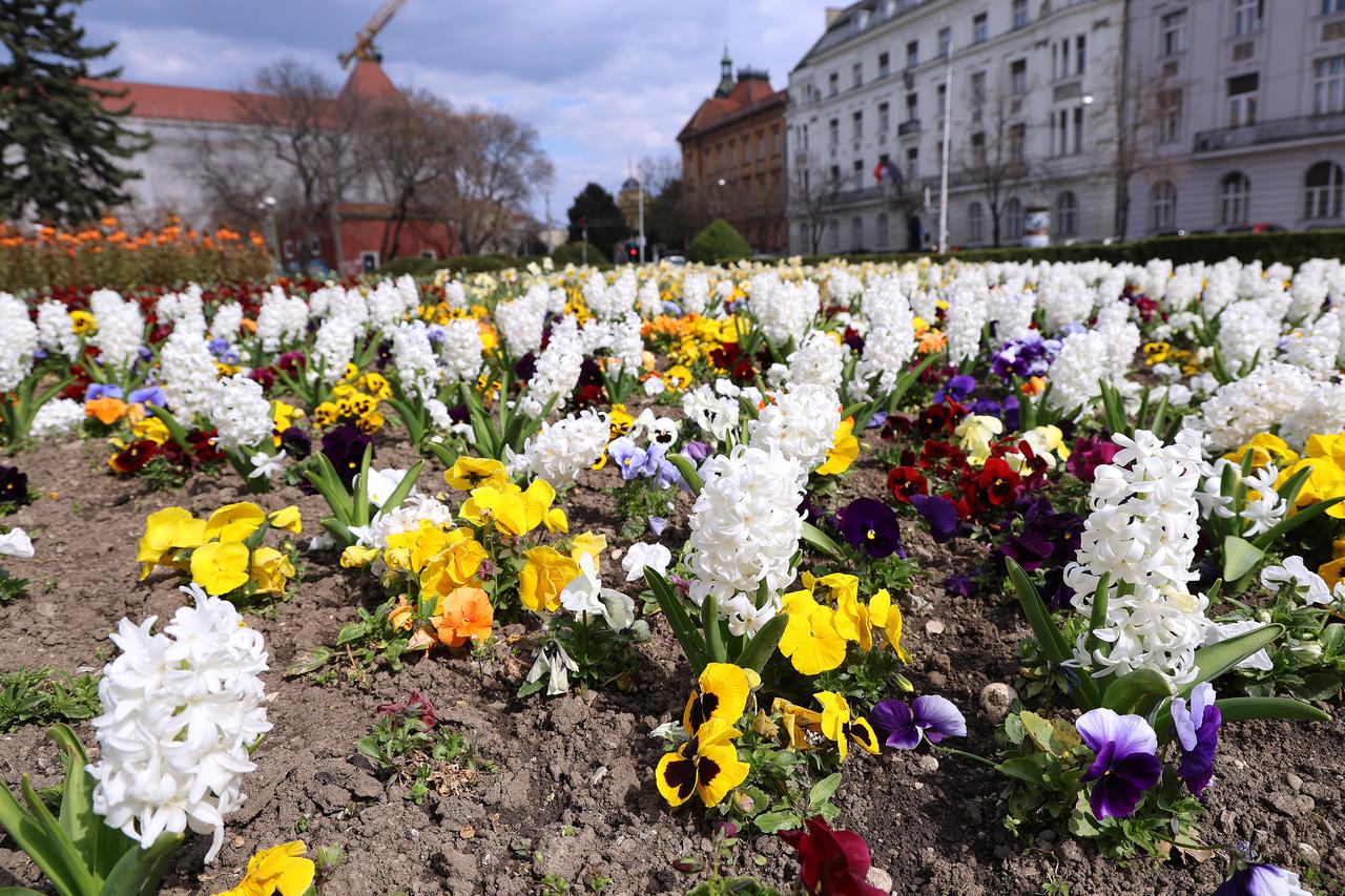 Zagreb: Prvi dan proljeća zagrebački parkovi dočekali u punom sjaju