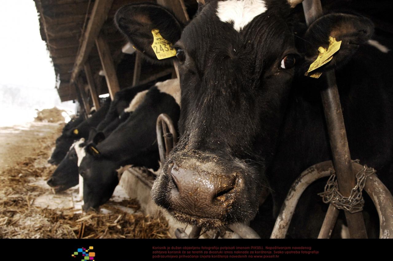 'krave_pxl_unu_080511'