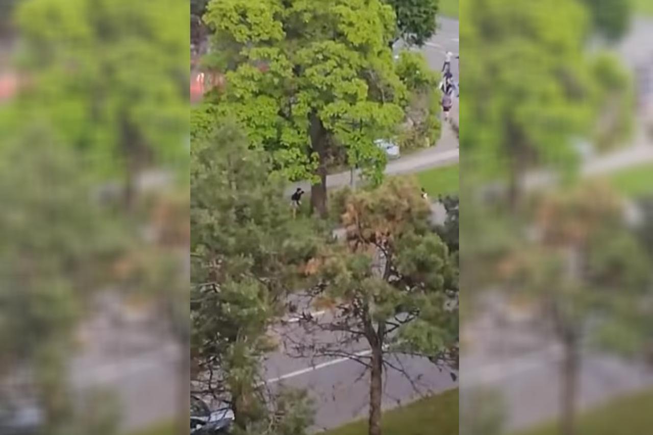 Sukob Bad Blue Boysa i Torcide