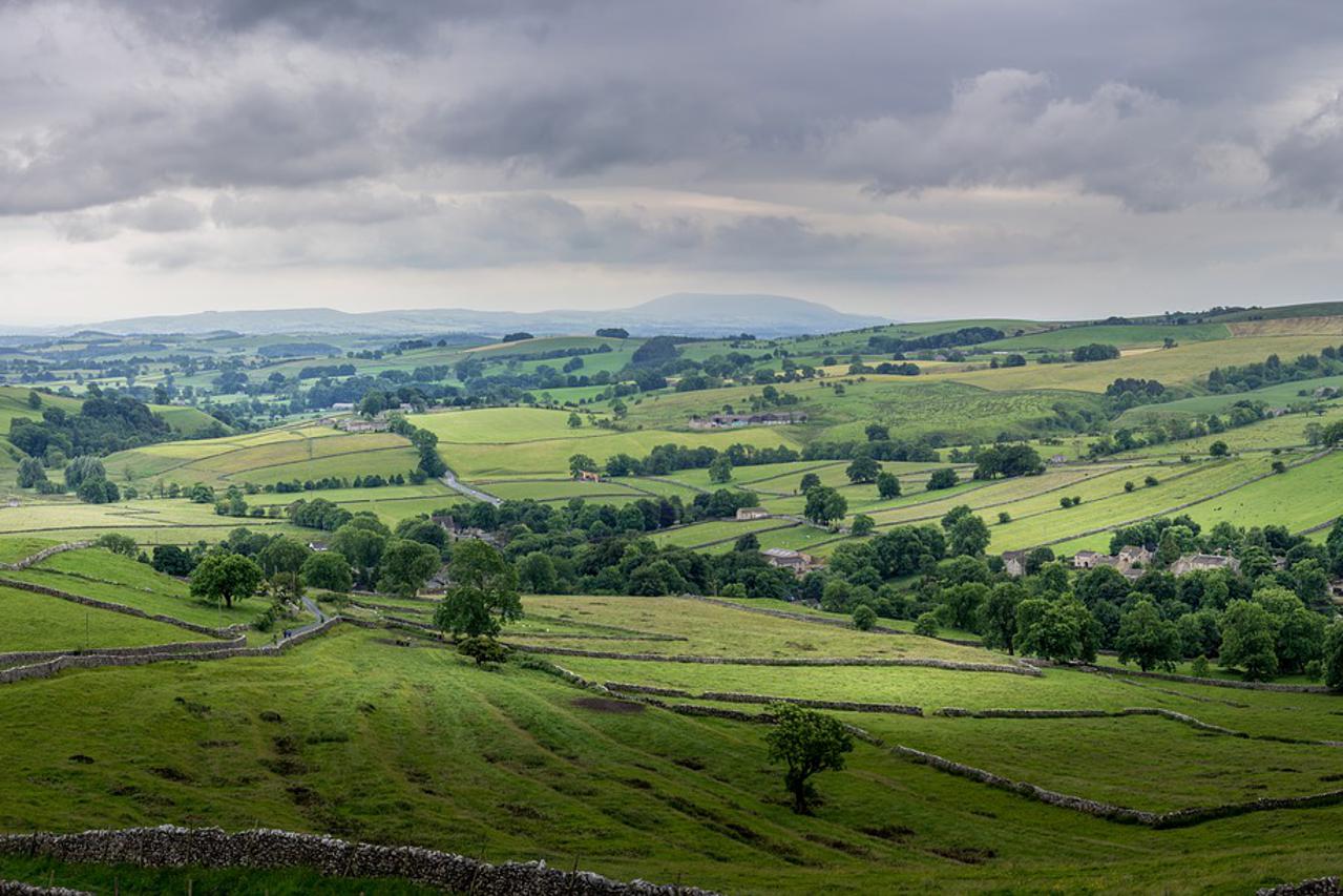 Yorkshire ilustracija
