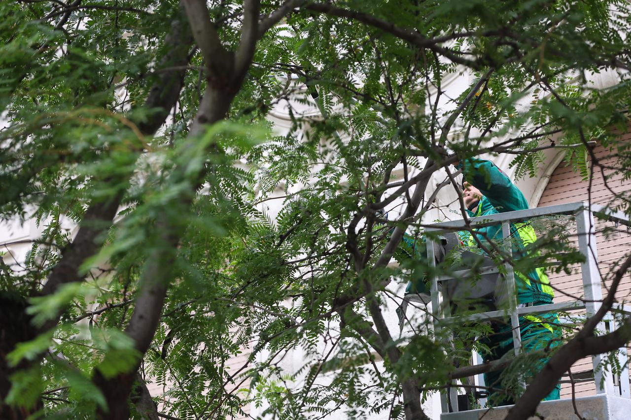 Zagreb: Redovito obrezivanje grana u centru grada 
