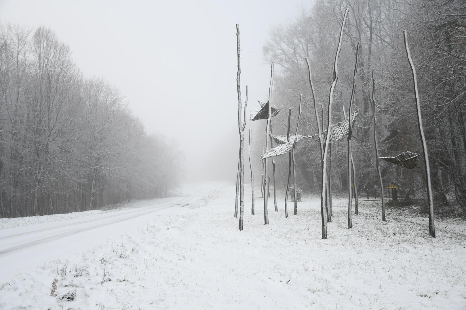 Bijeli pokrivač pokrio je cijelu šumu stvorio je pravi zimski ugođaj.