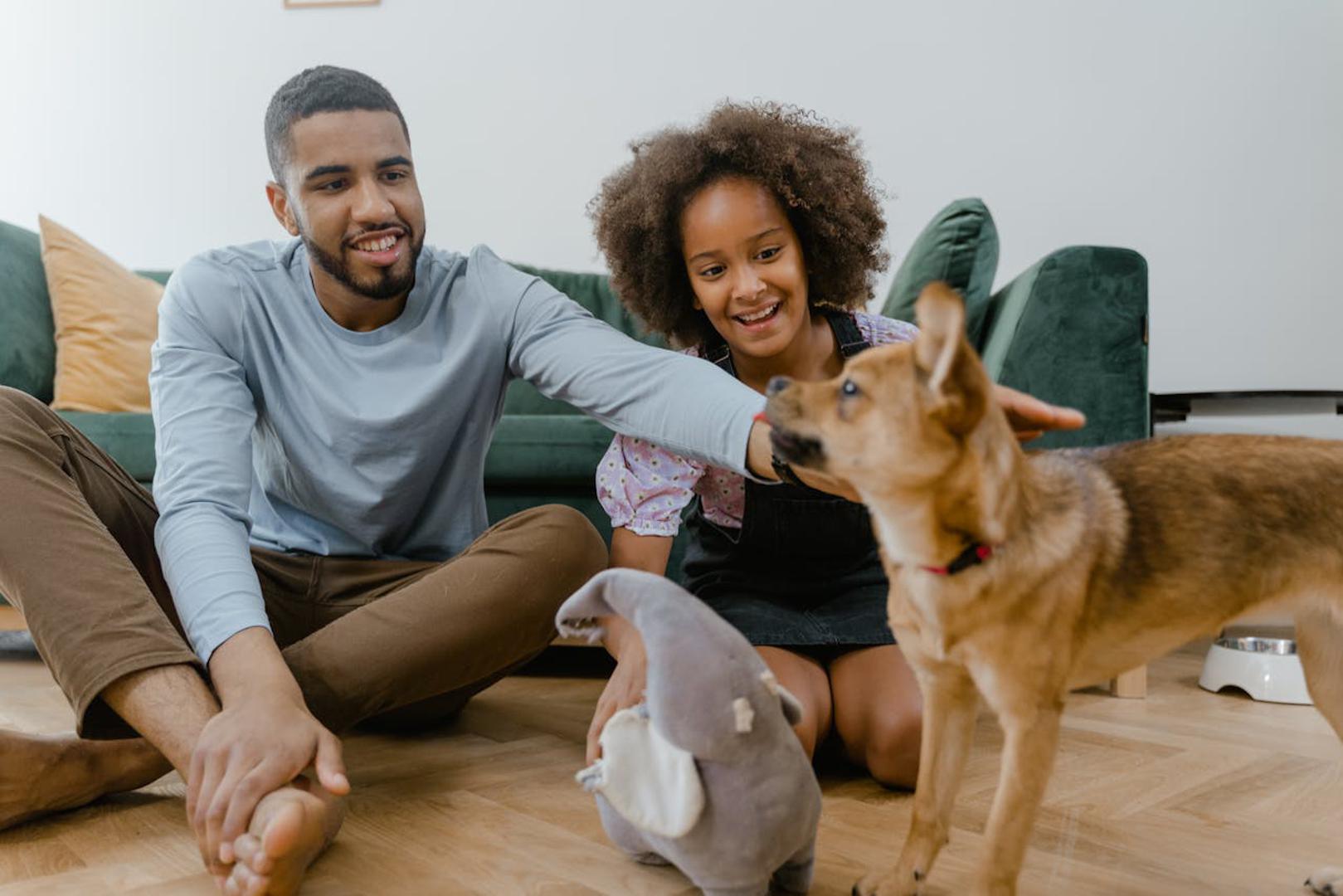 Nametljivo ponašanje: Dr. Magda napominje da se ovo često očituje tako da ljubimac sprječava drugu osobu ili životinju da se slobodno kreće ili se gura između njih, zahtijevajući pažnju vlasnika.