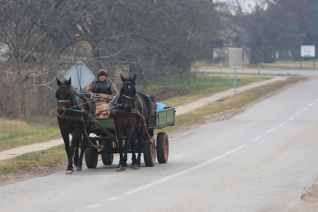 15.12.2016., Srbija - Hrvati u Vojvodini, u malom selu Tavankut pokraj Subotice.  Photo: Davor Javorovic/PIXSELL