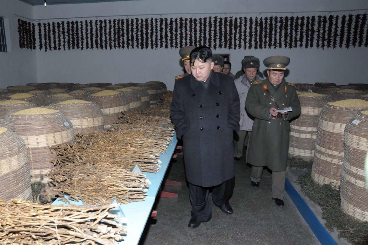 kim jong-un