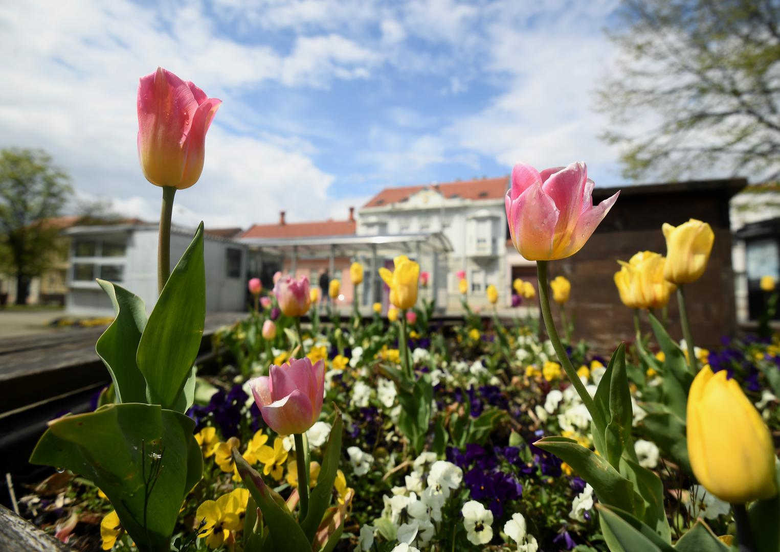 20.04.2021., Jastrebarsko - Turisticka patrola. Photo: Marko Lukunic/PIXSELL