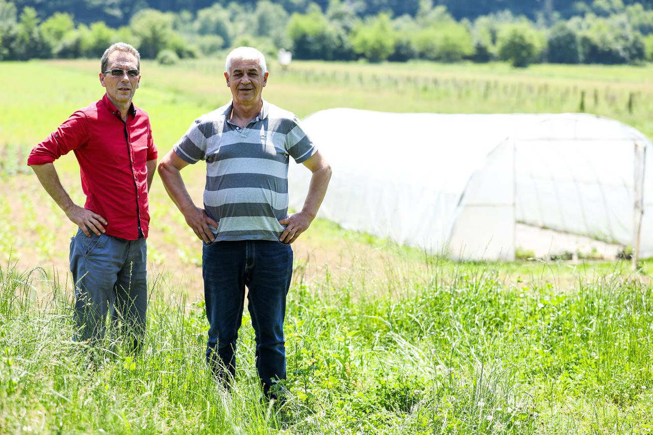Daut Tihic i Dane Vasic, Bosnjak i Srbin