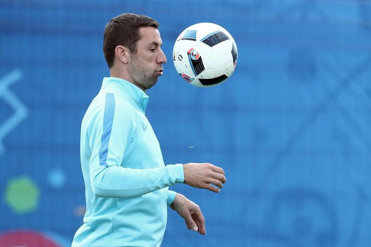 Darijo Srna